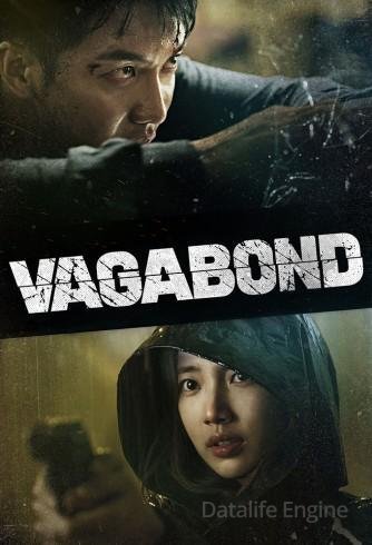 Image Vagabond