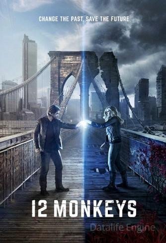 Image 12 Monkeys
