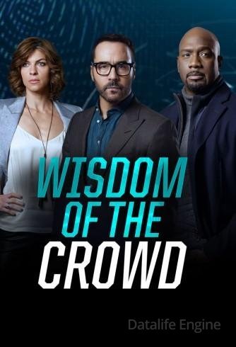 Image Wisdom of the Crowd - Nella rete del crimine