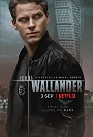 Image Il giovane Wallander