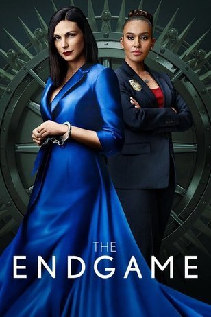 Image The Endgame (2022)
