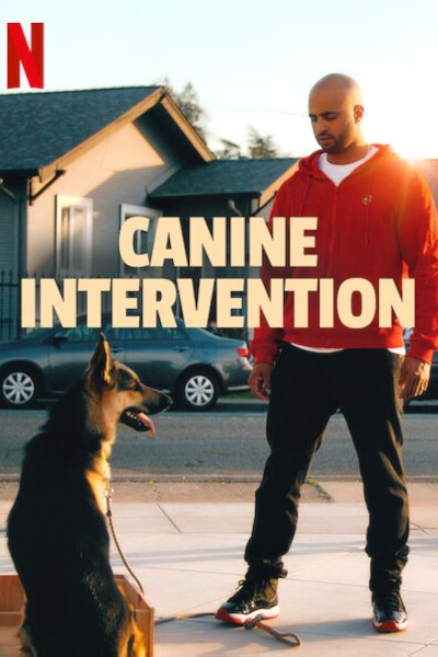 Image Canine Intervention